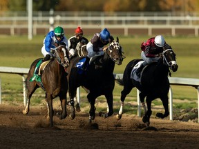 Regal Max ridden by Edgar Zenteno (third from right) hits the gas to win the Allowance Optional Claiming race during the 91st Canadian Derby at Century Mile racetrack in Nisku south of Edmonton, on Sunday, Sept. 27, 2020. Real Grace went on to win the Canadian Derby later in the evening.