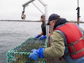Indigenous lobster fishermen Maurice Blapes and John Lamrock prepare a lobster trap outside the wharf in Saulnierville, N.S., Tuesday, Oct. 20, 2020.