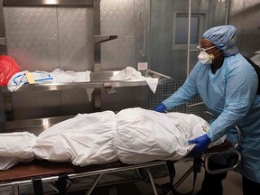 In this file photo taken on April 17, 2020 transporter Morgan Dean-McMillan prepares the body of a COVID-19 victim at a morgue in Montgomery county, Maryland. The world's largest economy currently has 12,019,960 cases and 255,414 deaths, both by far the worst global tolls. The new toll comes just six days after the US crossed the 11-million case threshold. (Photo by ANDREW CABALLERO-REYNOLDS / AFP) (Photo by ANDREW CABALLERO-REYNOLDS/AFP via Getty Images)