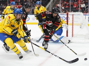 Canada's Dylan Holloway (20) battles Sweden's Alexander Lundqvist (5) for puck possession during the Hlinka-Gretzky Cup gold medal game in Edmonton on August 11, 2018.