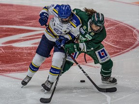 Wetaskiwin product Marissa Graham of Farjestad BK Dam, right, battles for the puck against Linnea Fast of Leksands IF at the Lofbergs Arena in Karlstad, Sweden on Nov. 2, 2020.