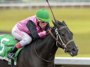 Shannon Beauregard rides at the Century Mile Racetrack.