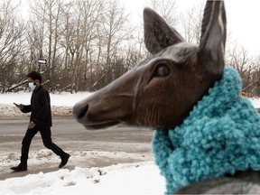 A pedestrian makes their way past a statue of a deer that someone has added a scarf to, along Saskatchewan Drive near 107 Street, in Edmonton Saturday, Nov. 14, 2020.