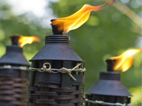 When used properly tiki torches can help repel pests. When used during a rally they have a habit of attracting sketchy participants.