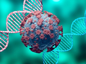 The coronavirus and human DNA are pictured in a 3D rendering.