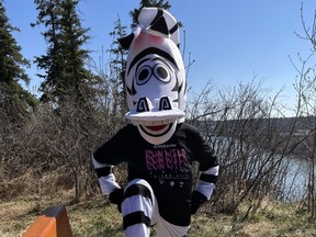 Zander the Zebra is the spokesanimal for Leading Edge Physio's RunWild fundraising virtual race. Submitted photo