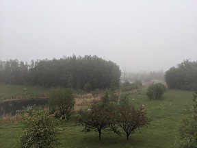 A foggy morning photo in St. Albert. Photo: Allison Pelech/Postmedia