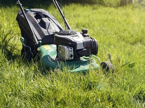 Mowing or cutting the very long grass with a green lawn mower in the summer sun