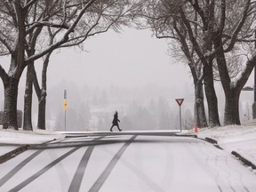 A walker takes in a wintry landscape along Ada Boulevard during the first big snowstorm of the season in Edmonton, on Monday, Nov. 15, 2021. Photo by Ian Kucerak