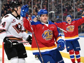 Edmonton Oil Kings forward Josh Williams celebrates his goal against the Calgary Hitmen at Rogers Place on Nov. 6, 2021.