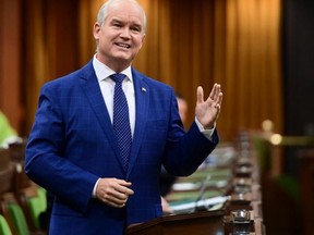 Conservative Leader Erin O'Toole rises during question period in the House of Commons on Parliament Hill in Ottawa on June 3, 2021.