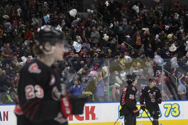 Teddy bears rain down on members of the Moose Jaw Warriors during the Edmonton Oil Kings' 14th annual Teddy Bear Toss, in Edmonton Saturday Dec. 4, 2021.