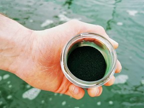 Etika Spirulina owner Xavier Delannoy shows a powdered form of spirulina algae, used to produce the Line blue beer, near a basin where the algae is grown, in the farm in Villeneuve d'Ascq near Lille, France, Feb. 1, 2022.