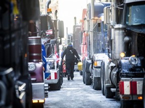 Protesters gathered for the “Freedom Convoy” in downtown Ottawa, Sunday, Feb. 13, 2022.