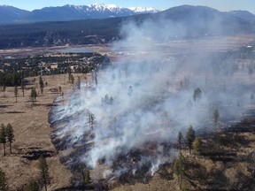Parks Canada conducts a prescribed burn near Radium, B.C., on March 13, 2015.