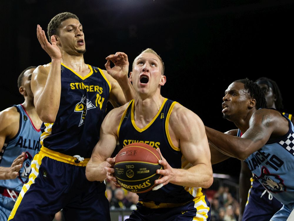 Edmonton Stingers are in the Basketball Champions League Americas