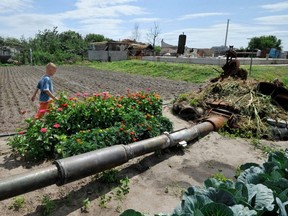 A boy walks in a kitchen-garden past remains of a Russian battle tank, destroyed during battles this spring, in the village of Velyka Dymerka, northeast of Kyiv, Thursday, July 21, 2022, amid the Russian invasion of Ukraine.