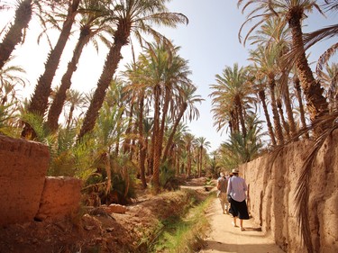 Strolling through the giant palm groves near the small oasis town of Zagora on the fringe of the Sahara.