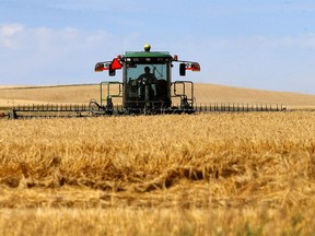 Farmers harvest their crops just north of Calgary on Monday, August 29, 2022.