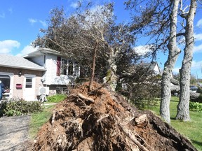 Homeowner George MacDonald describes the moment when several trees landed on his home in Glace Bay, Nova Scotia on Sunday Sept. 25, 2022.