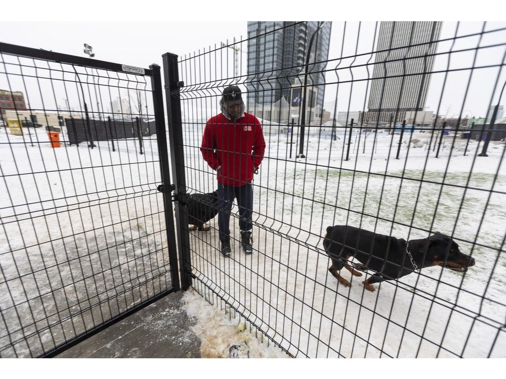 Edmonton may add 30 temporary offleash dog parks this spring