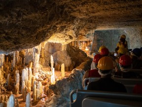 A small, electrically operated tram takes people down 160 feet into Harrison's Cave to view clear streams, pools, stalactites, and stalagmites that are growing by less than the thickness of a piece of paper each year.
