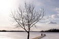 Families visit the dock at Astotin Lake at Elk Island National Park outside of Edmonton, on Tuesday, March 30, 2021. The national park is one of several attractions organizing Family Day activities for Monday, Feb. 20, 2023.