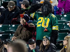 An Edmonton Elks fan in a gorilla suit salutes during a game agains the BC Lions during CFL action at Commonwealth Stadium in Edmonton, on Oct. 21, 2022.