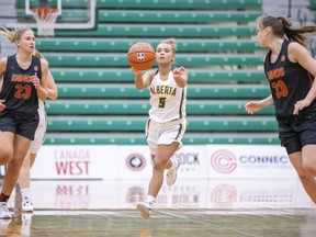 University of Alberta Pandas guard Morgan Harris dribbles the ball against the University of Calgary Dinos earlier this season. The provincial rivals meet on Saturday, March 4, 2023, in the Canada West Conference final in Calgary.