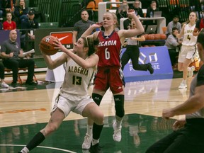 University of Alberta Pandas forward Claire Signatovich came up with a game-high 11 rebounds in a 61-57 victory over the Acadia University Axewomen on Thursday, March 9, 2023 in the U Sports national quarter-final after being named the 2023 U Sports Defensive Player of the Year.