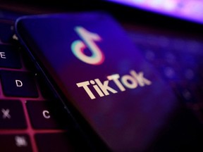 A growing list of entities are banning the use of the TikTok app on their devices.