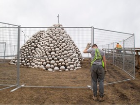 Workers surround the Talus Dome with a fence  after a man who climbed onto it had to be rescued by firefighters when he trapped himself inside it over the Easter weekend, and is facing a criminal charge for the stunt. Taken on Monday, April 10, 2023 in Edmonton .   Greg Southam-Postmedia