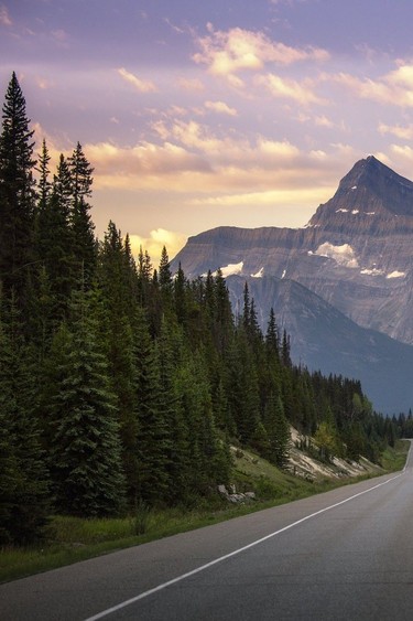 The Rocky Mountains on the Icefield Parkway to Jasper in the summer.