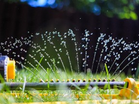 A sprinkler waters a lawn in Calgary. There has been more debate about lawn watering as the climate warms.