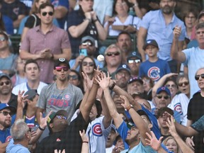 Chicago Cubs fans go after a foul ball in the fourth inning against the Colorado Rockies at Wrigley Field.