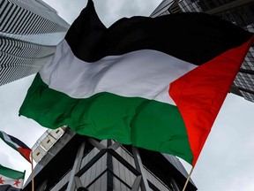 Demonstrators in support of Palestinians wave Palestinian flags during a protest in Toronto, Ontario, Canada, on October 9, 2023. COLE BURSTON/AFP via Getty Images)