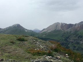 Divide Pass in the backcountry of Banff National Park is shown on July 3, 2019. A grizzly bear attack in the backcountry of the national park on Friday left two people and their dog dead.