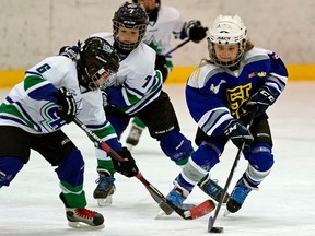 Atom-age minor hockey players battle for the puck