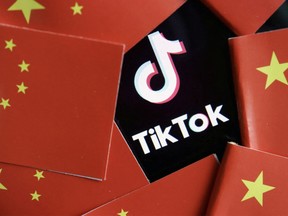 China's flags are seen near a TikTok logo in this illustration picture taken July 16, 2020.