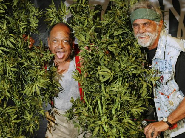 Judge's decision references Cheech & Chong | Financial Post