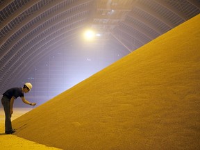 A pile of processed potash at the Mosaic Potash Colonsay mine storage facility in Colonsay, Saskatchewan from September 24, 2009