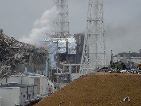 Tokyo Electric Power Co. handout/Reuters