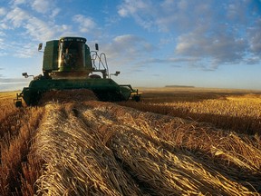 Canadian Wheat Board