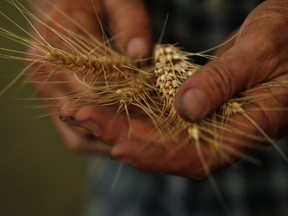 Tim Wimborne/Reuters