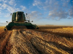 Handout/Canadian Wheat Board