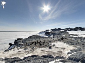 Cape Royds Adelie Penguin Rookery