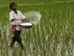 AP Photo/Ajit Solanki