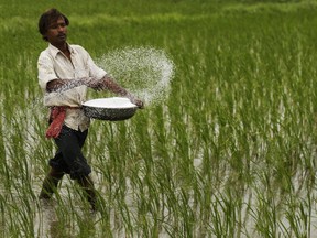 AP Photo/Ajit Solanki