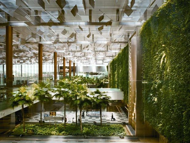 vertical-garden-and-green-wall-at-singapore-airport-2