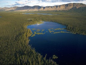 Resolute seems to have come to the end of its tether in the face of relentless Greenpeace attacks related to the Canadian Boreal Forest Agreement.